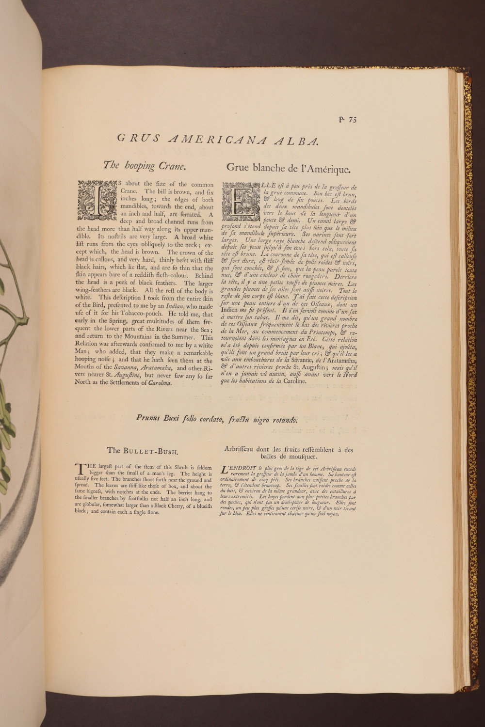 Page 75